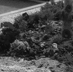 Imagen resumen Handy Services (I)