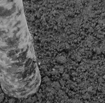 Imagen resumen Handy Services (II)