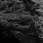 Imagen resumen Handy Services (VI)