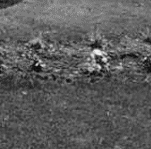 Imagen resumen Handy Services (VII)