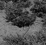 Imagen resumen Handy Services (VIII)